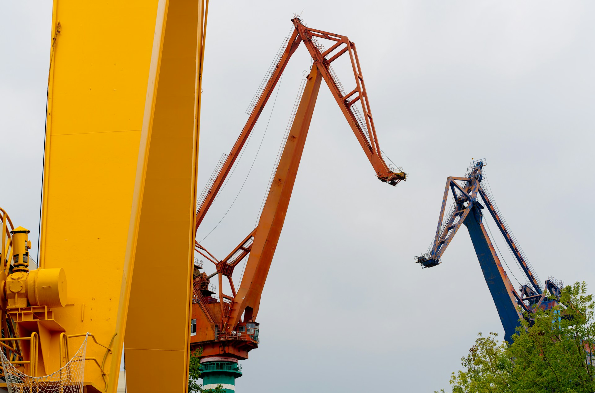 crane